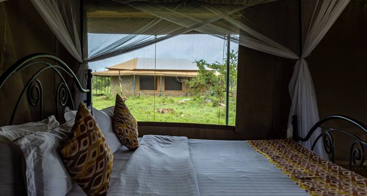 Safari privé du meilleur de la Tanzanie** Départ tous les jours** Approche durable du voyage, certifiée Travelife - World Adventure Tours 9