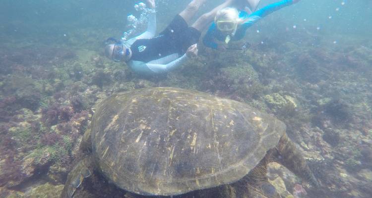 Voyage de 4 jours aux Galápagos : les points forts de Santa Cruz ! - Latin Adventures 3