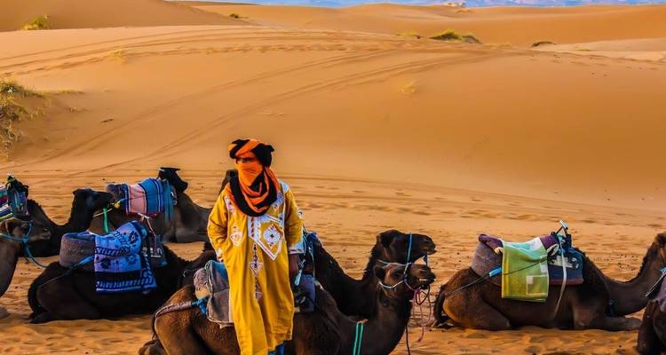 Marrakech To Fes with luxury Camp-3 days - Desertbrise Travel 9