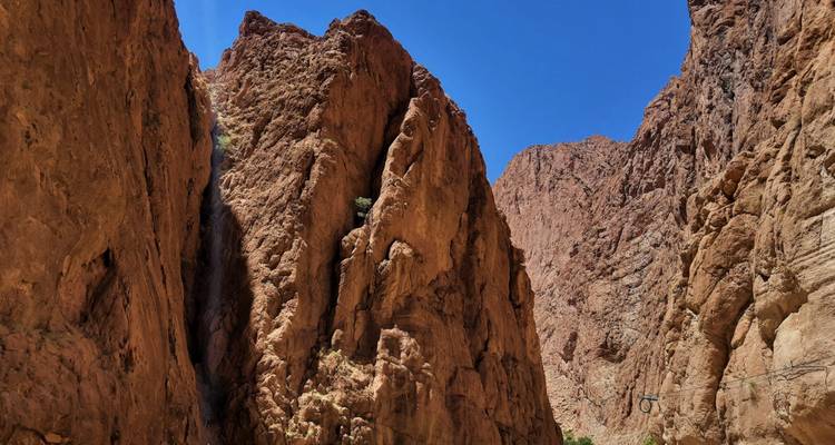 Marrakech To Merzouga  with Luxury camp - Camel ride - Desertbrise Travel 10