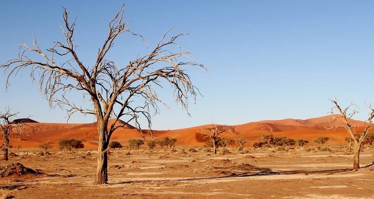 Aventure en Namibie - Trafalgar 2