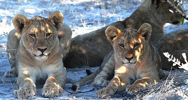 Aventure en Namibie - Trafalgar 6