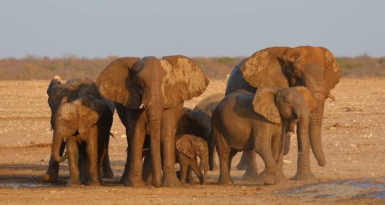 Aventure en Namibie - Trafalgar 4