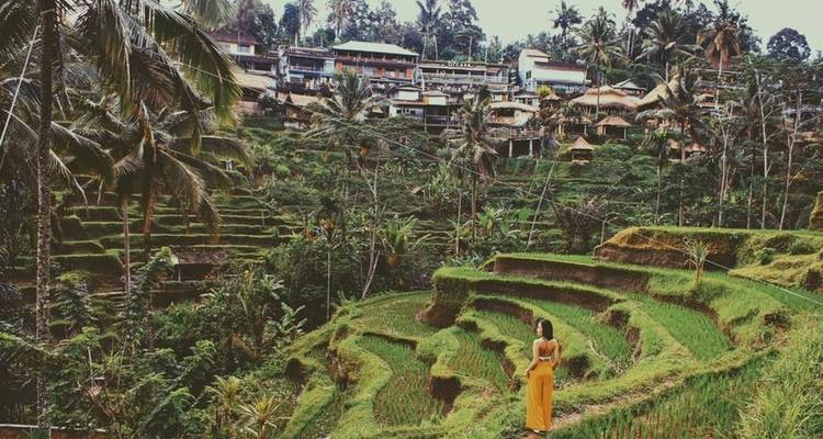 Bali Unforgettable Adventure 3 Days Tour (Private & All-Inclusive) - ForeverVacation 3