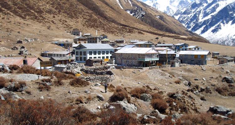 Trek dans la vallée du Langtang - First Environmental Trekking 10