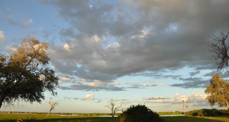Open landschap met bomen en een bewolkte hemel.