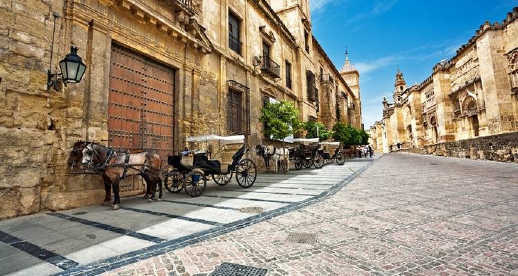 Sentiments andalous - Destination Services Spain 1