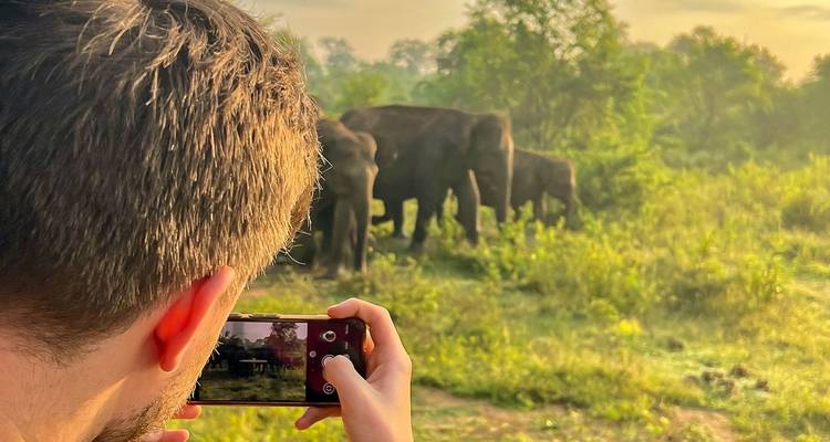 Le meilleur du Sri Lanka - Feel Free Travel - Feel Free Travel 8