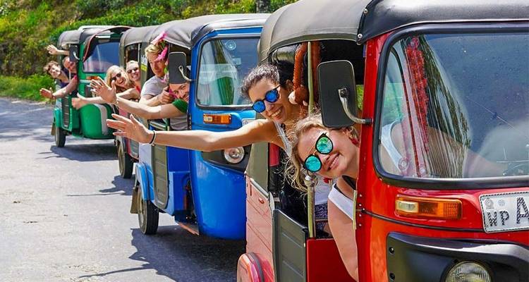 Le meilleur du Sri Lanka - Feel Free Travel - Feel Free Travel 2