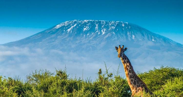 Tarangire et Ngorongoro - Safari milieu de gamme en groupe - 2 jours, 1 nuit - Tanzanie -  Travel Africa Safari Agency 9