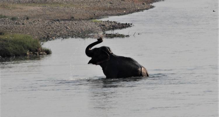 Circuit de luxe au Népal - 9 jours - Eco Holidays Nepal 4