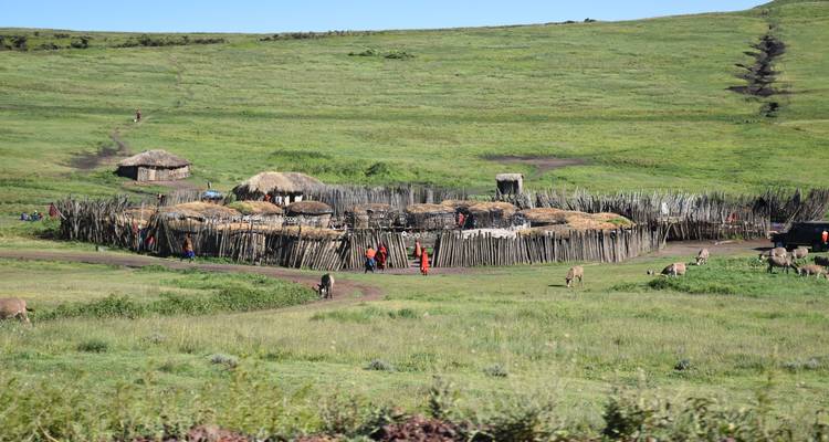 3 jours de safari camping en groupe en Tanzanie -  Travel Africa Safari Agency 6