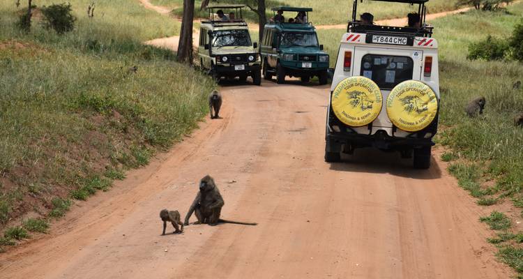 Safari en Lodge économique en Tanzanie - 3 jours et en groupe -  Travel Africa Safari Agency 2