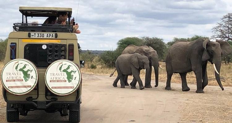 Touristen in einem Safari-Fahrzeug beobachten Elefanten, die eine Schotterstraße überqueren.