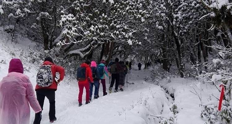 Short Annapurna Base Camp Trekking- 7 Days - Eco Holidays Nepal 3