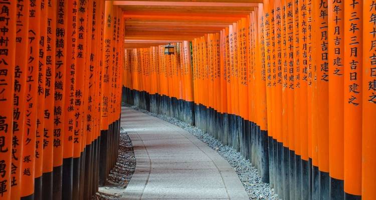 Simplement le Japon - Explore! 4