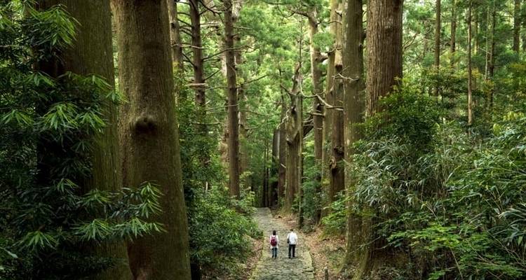 Caminar por Japón - sendero Kumano Kodo - Explore! 2