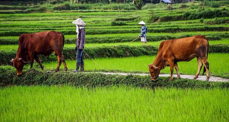 8-Day Cambodia & Vietnam - Intertrips 8