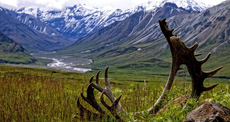 Circuit d'aventure de 13 jours avec hébergement en Alaska - Infinite Adventures 9