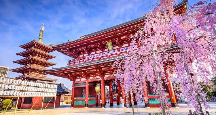 Descubre Japón por 15 días - Tomato Travel 6