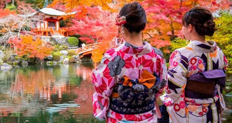 Les points forts du Japon - 7 jours - Tomato Travel 2