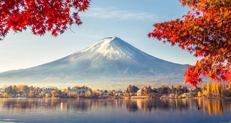 Les points forts du Japon - 7 jours - Tomato Travel 4