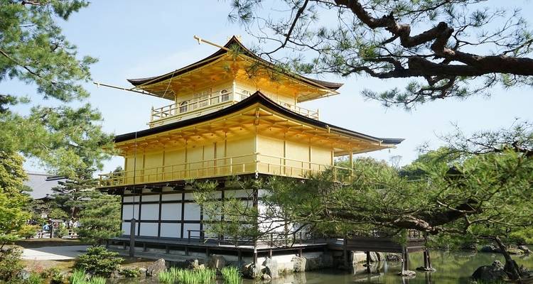 Les points forts du Japon - 7 jours - Tomato Travel 9