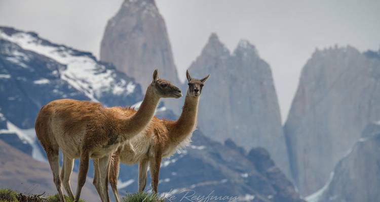 6 - días Self Drive Parque Nacional Torres del Paine - Signature DMC 7