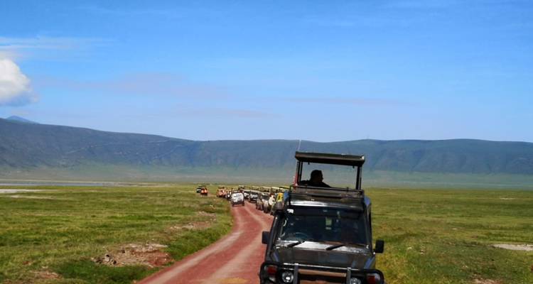 A safari vehicle on a dirt road in a conservation area.