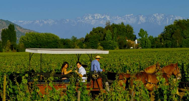 Conduite autonome dans la région viticole de Santiago du Chili, vallée de Colchagua - 4 jours - Signature DMC 1