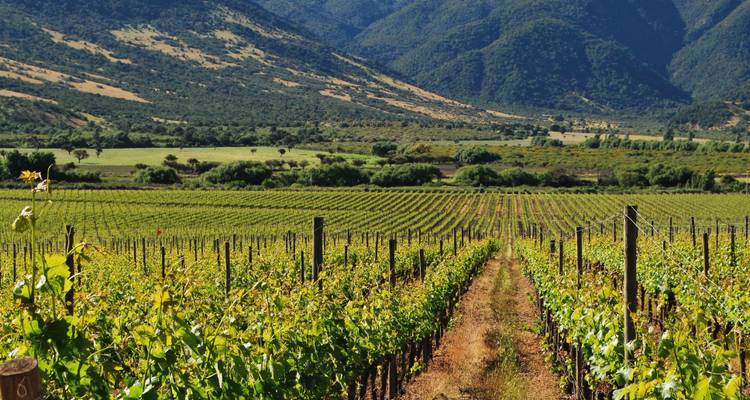 Conduite autonome dans la région viticole de Santiago du Chili, vallée de Colchagua - 4 jours - Signature DMC 2