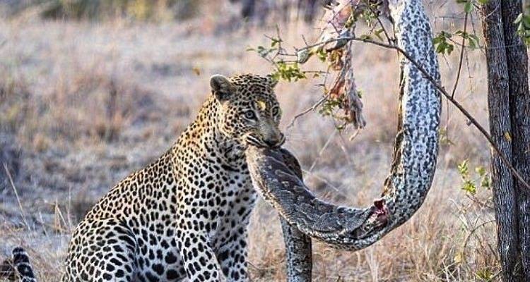 Le Sri Lanka pour les amateurs d'aventure - Koon Holidays (Pvt) Ltd 7