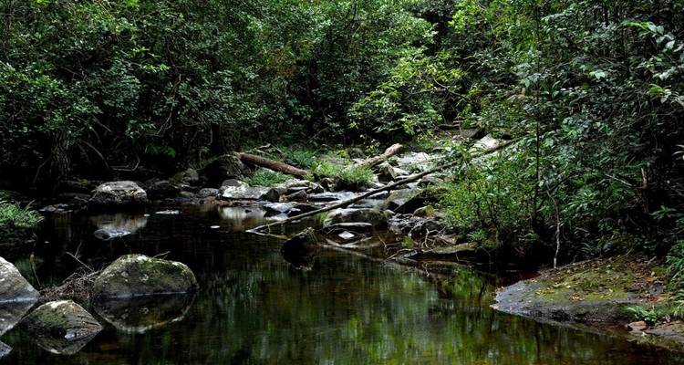 Sites du patrimoine mondial de l'UNESCO au Sri Lanka - Koon Holidays (Pvt) Ltd 9