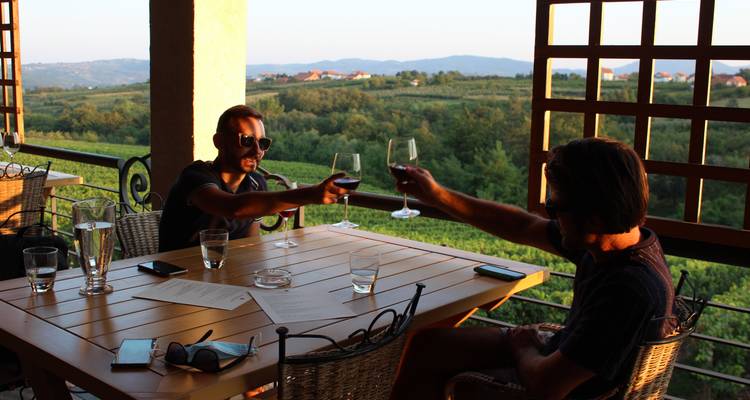 Deux personnes trinquant avec du vin dans un vignoble pittoresque.