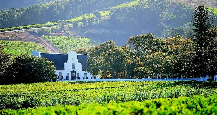 Las tierras del vino del Cabo y la ruta Jardín para los amantes del vino - 5 días - Explore South Africa 9