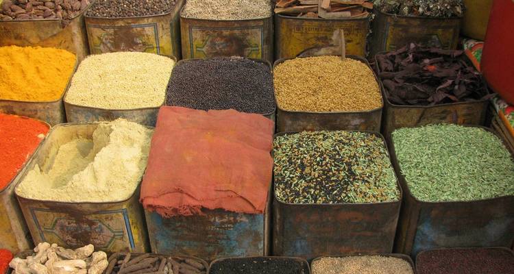 India Food Tour - Alkof Holidays 1