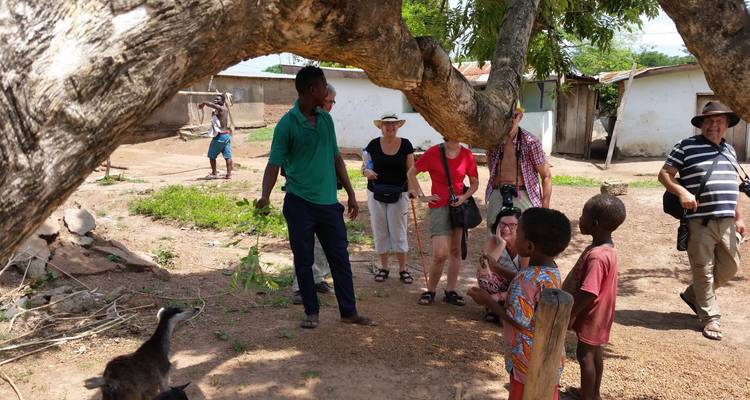 3 day trip to Mole National Park - Eyali Tours 7