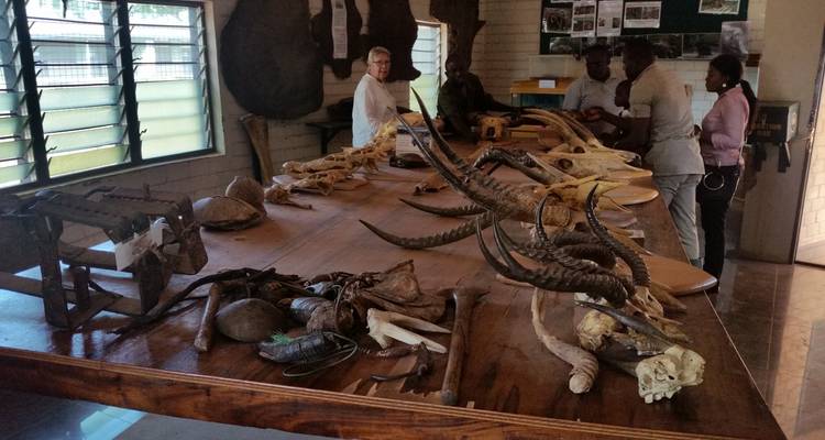 3 day trip to Mole National Park - Eyali Tours 1