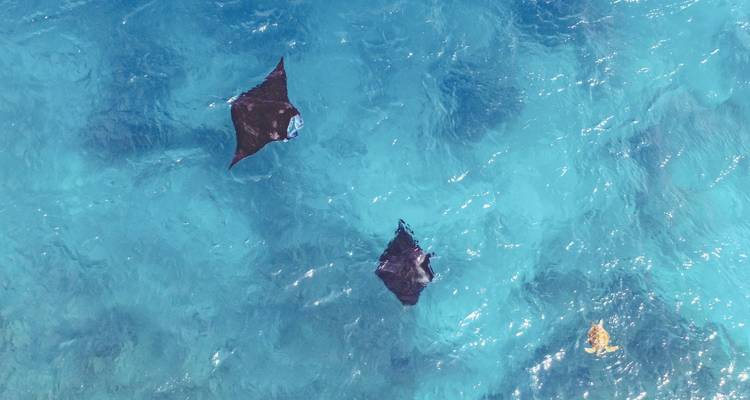 Maldives:  7 day tour!  Rasdhoo + Island Hopping! - BeachLife Tours 10