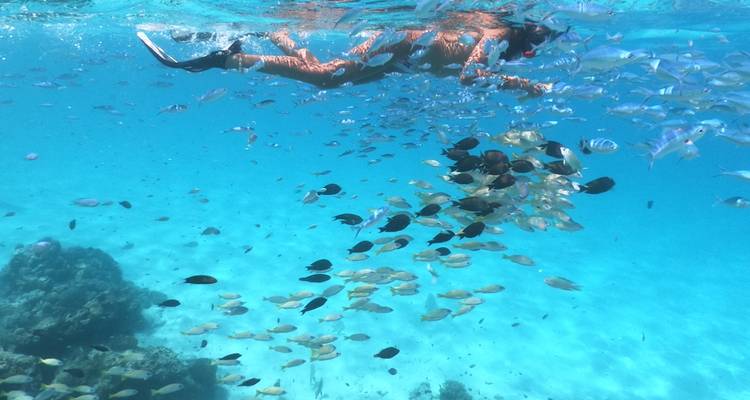 Maldives:  7 day tour!  Rasdhoo + Island Hopping! - BeachLife Tours 4