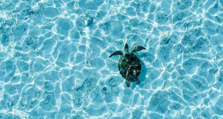 Maldives:  7 day tour!  Rasdhoo + Island Hopping! - BeachLife Tours 9