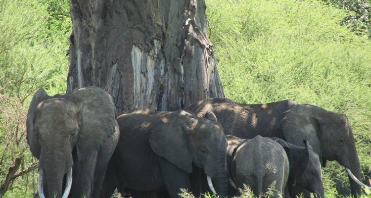 5 días especiales Parque Nacional de Kidepo - Lakato Safaris 4