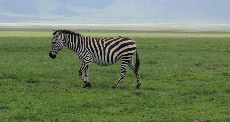 5 días especiales Parque Nacional de Kidepo - Lakato Safaris 7