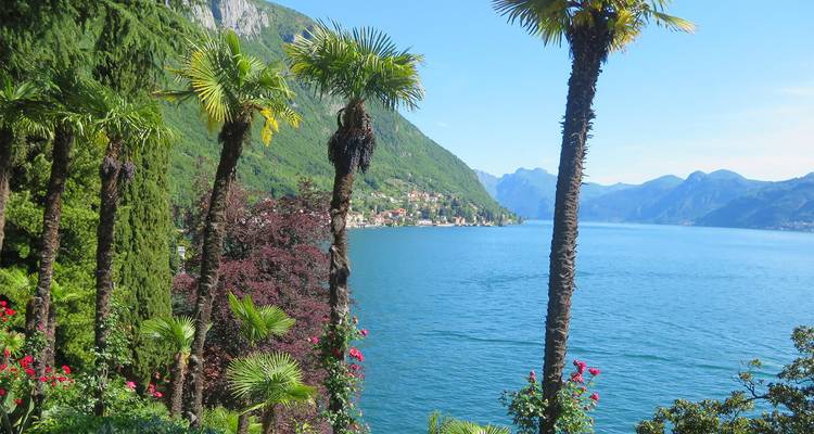 Vue panoramique luxuriante avec palmiers et lac.