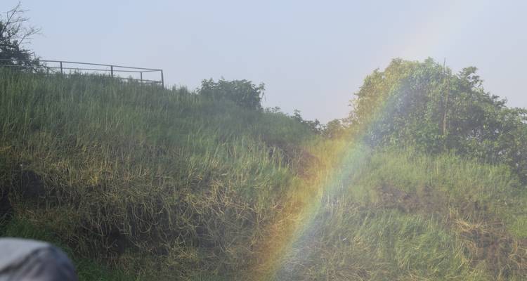 Regenboog boven grasrijke heuvel.