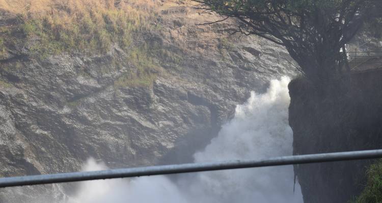 Waterval gezien door bomen.