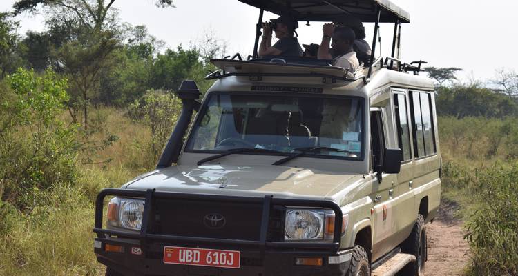 7 Days Special Primate Tour - Lakato Safaris 3