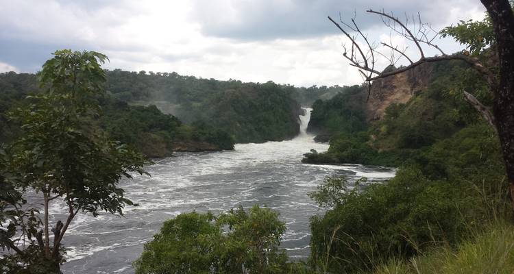 13 días de circuitos por la vida salvaje con primates - lujo - Lakato Safaris 3