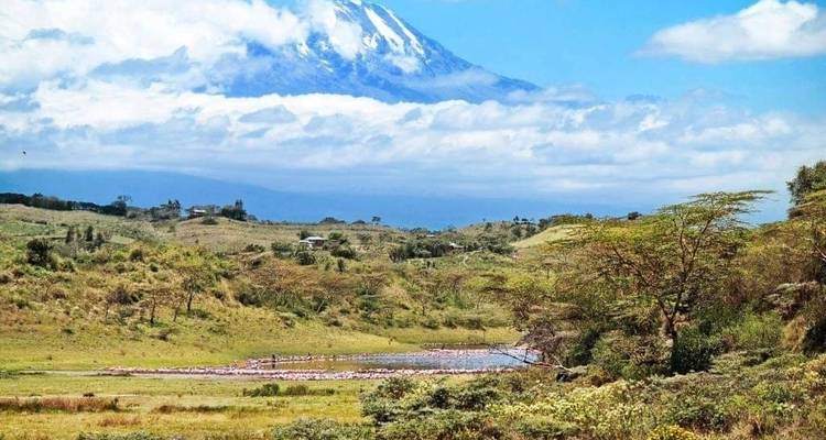 Ascension du Mont Kilimandjaro par la route Machame - 6 jours -  Travel Africa Safari Agency 6