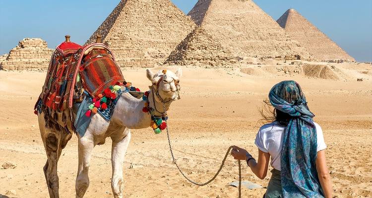 Circuit du roi Ramsès - 7 jours (Le Caire et 3 nuits de croisière sur le Nil, train de nuit aller-retour) - Egypt Best Holidays  10